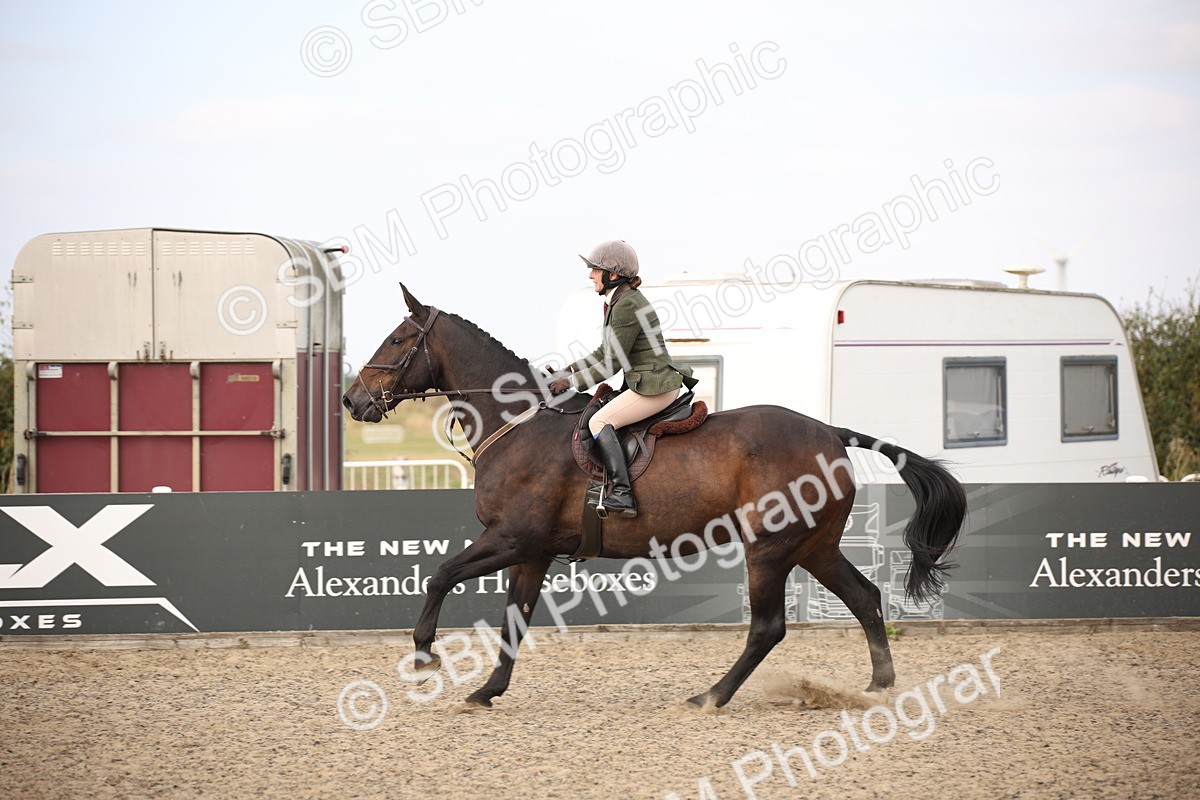 SBM_17336 - Class 410b - Working Veteran 90cm (20+)