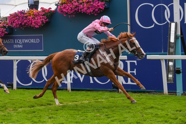 250823-Race 4-Live In The Dream-0680 - Race 4 3.35pm Coolmore Wootton Bassett Nunthorpe Stakes
