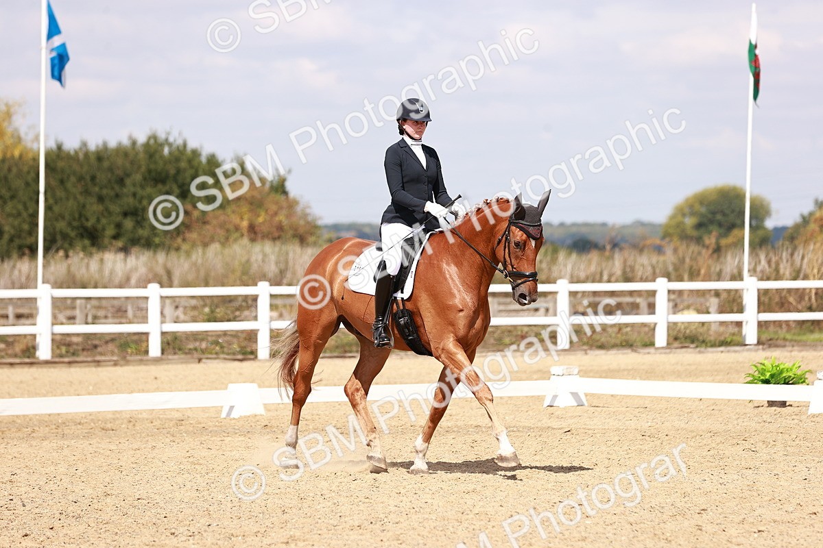 SBM_018458 - Class 17 - Novice 6
