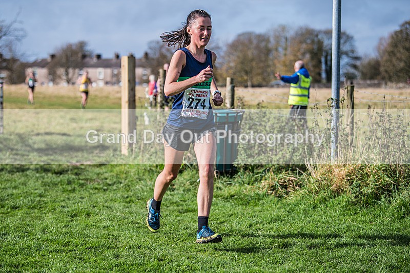 Cumbria XC-952 - Cumbria XC League Workington Saturday 26th October 2024