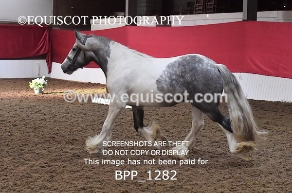 BPP_1282 - MORNING 9AM - 12PM