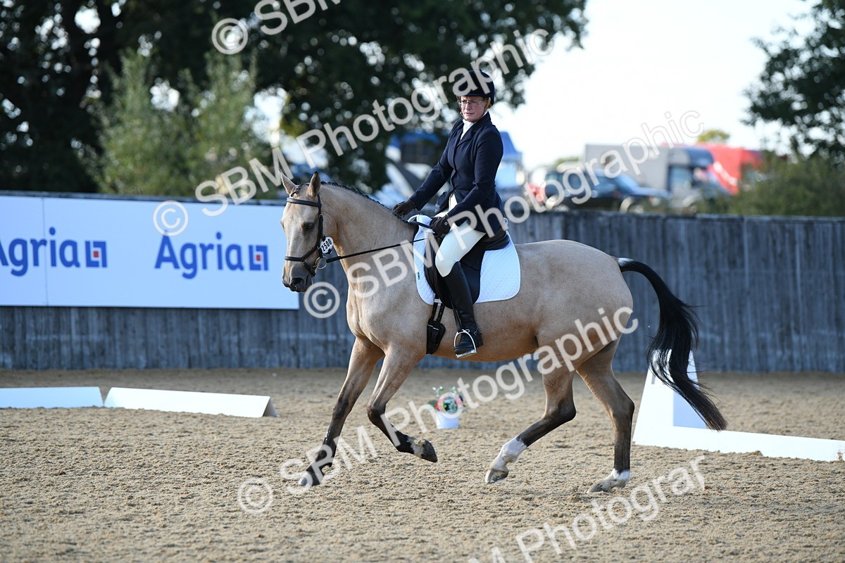 SBM_28500 - D16 - Small Tour Championship - Novice 28