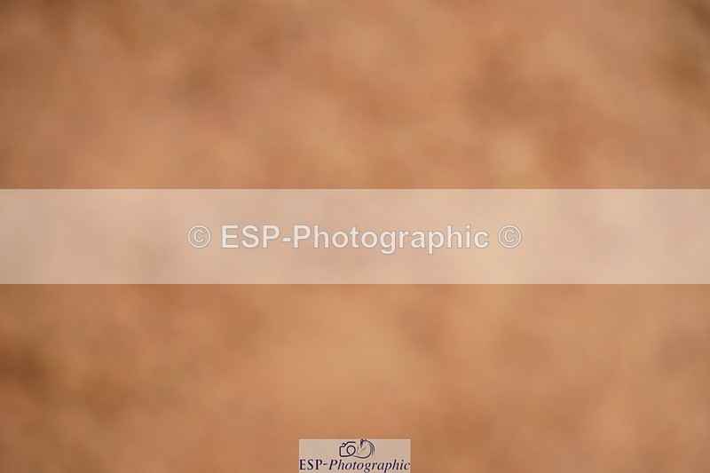 240526A-132508-08367 - Cls 27 Chard Equ May Grand Prix