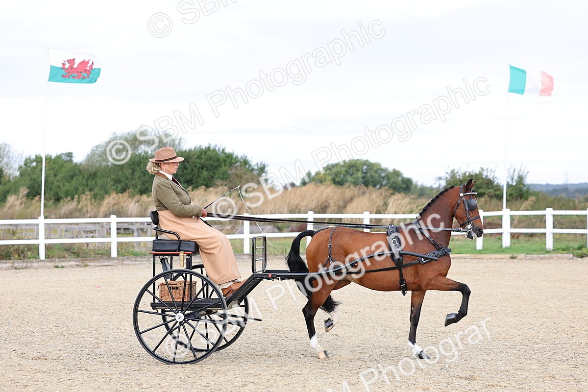 SBM_000239 - Class 2 - Exercise Vehicle 13.2hh & Under