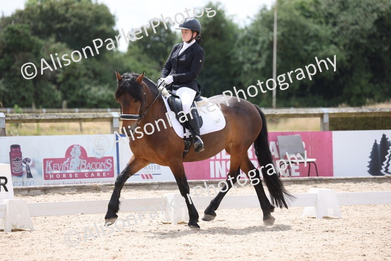 20250706-0465 - Class 17 - Elementary 5