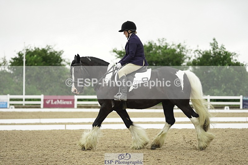 230708A-100240-00282 - Intro C