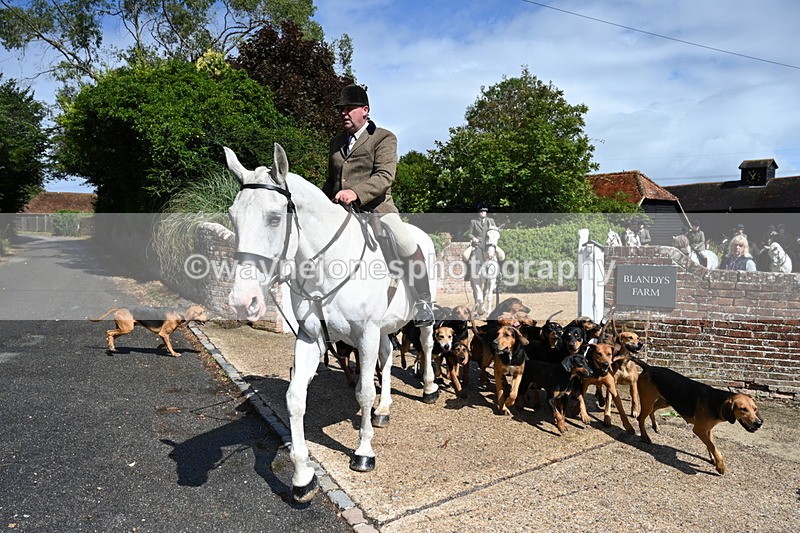 WJ7_7152 - Berks & Bucks at Blandy’s Farm 31-08-25