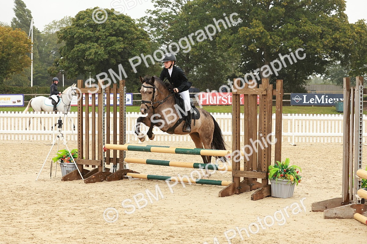 SBM_71315 - J14 - Junior Pony 65cm Championship