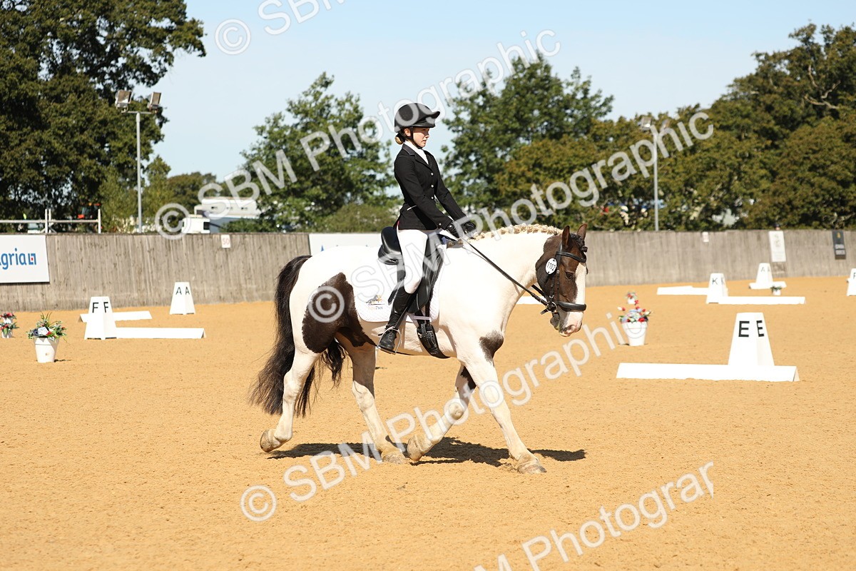 SBM_19766 - D10 - Small Tour Championship - Prelim 2