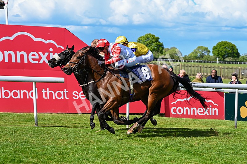 120526-Race 4-Dandy Dinmont-8284 - Race 4 4.00pm Annie Oxtoby Memorial Handicap