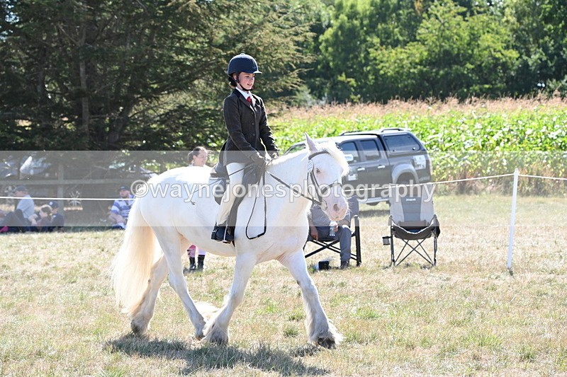 WJ6_8980 - Class 38 Ridden Riding Horse/Pony