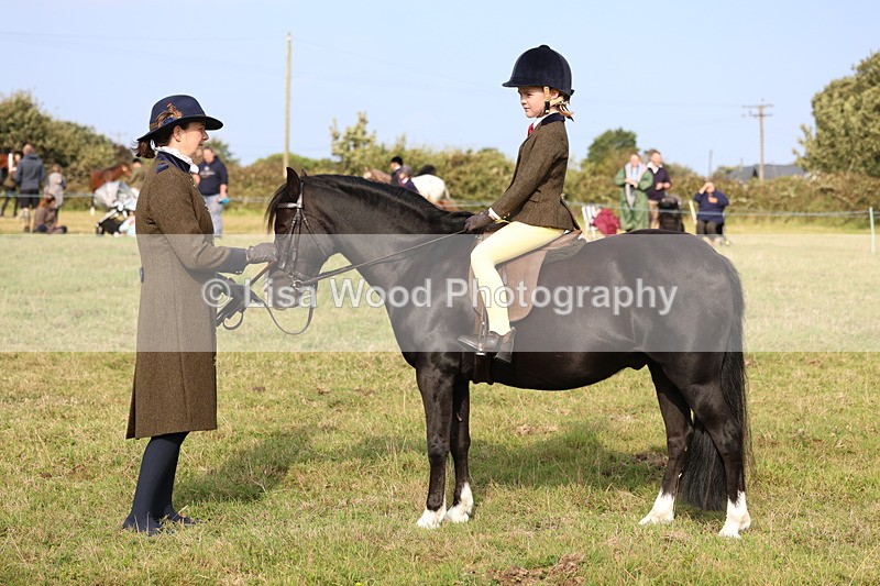 3E7A3713 - Class 2: Lead rein