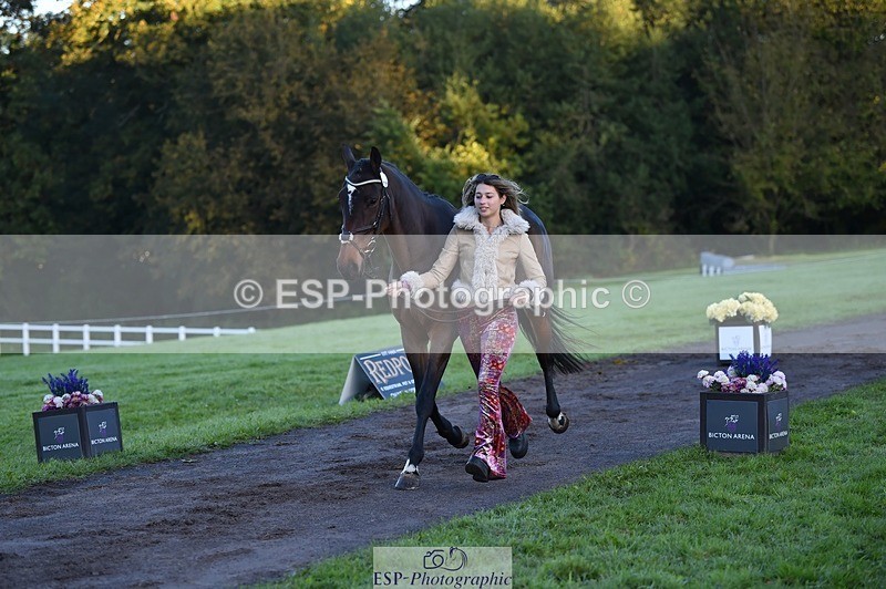 231022-084506-21331 - 670-SEEK.INDI-Maia.Ramasamy-TrotUp+SJ