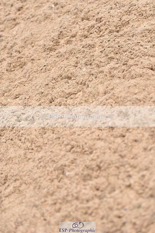 230810A-133414-01176 - Cls 10 6 Year Old Championship