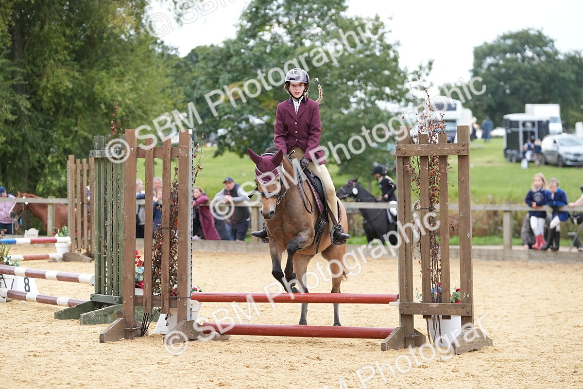 SBM_74831 - J4 - Mini Tour Junior Pony 45cm Championship