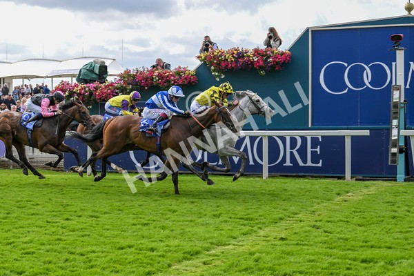 230824-Race 1-Shadow Dance-8727 - Race 1 1.50pm Sky Bet Handicap