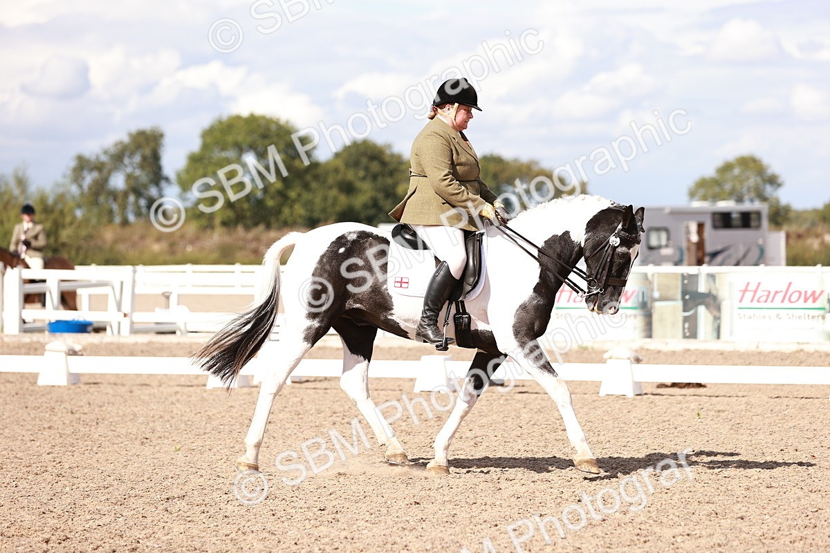 SBM_06618 - Class 39 - Medium 3