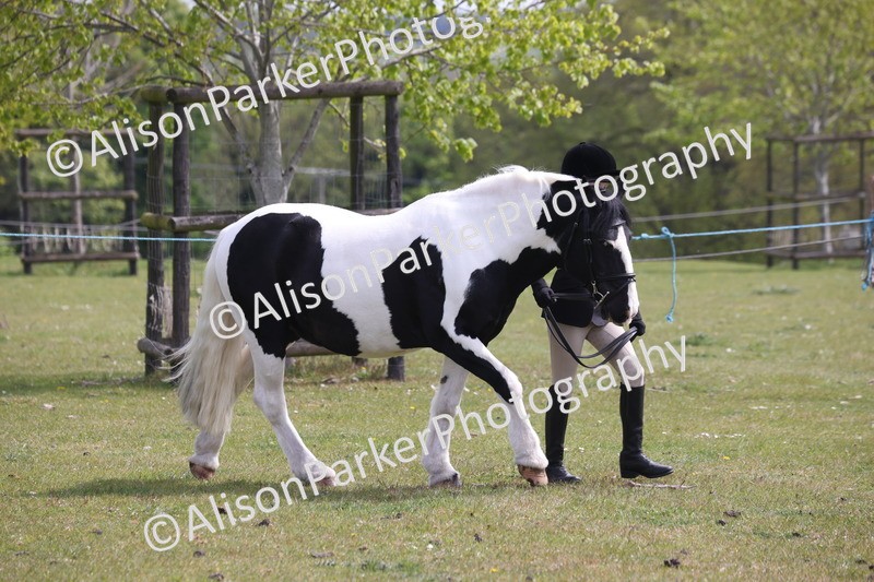 20260426-3282 - Class 27 - Coloured Horses and Ponies