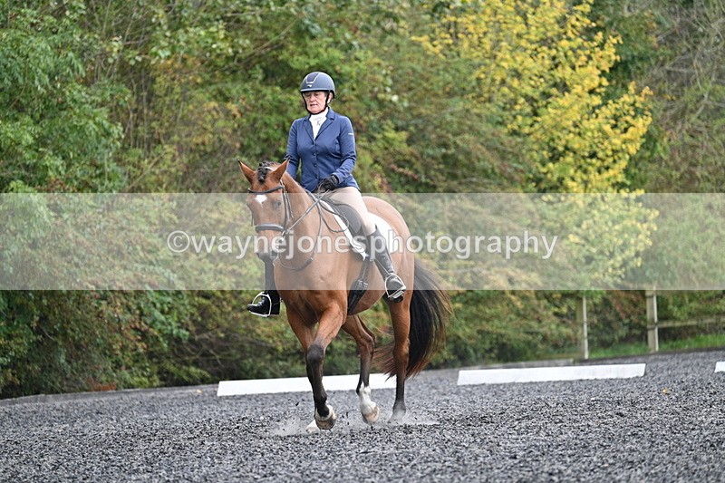 WJ7_4399 - Time 11:43 to 12:09