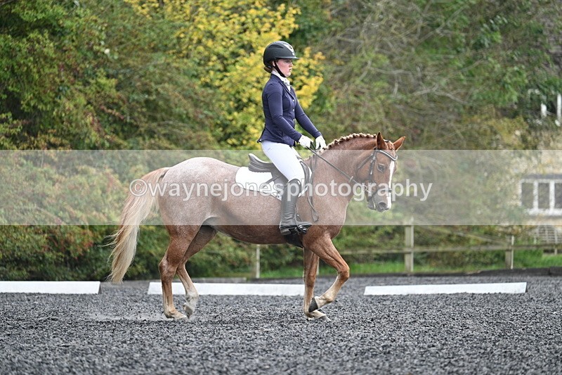 WJ7_3737 - Time 11:04 to 11:38