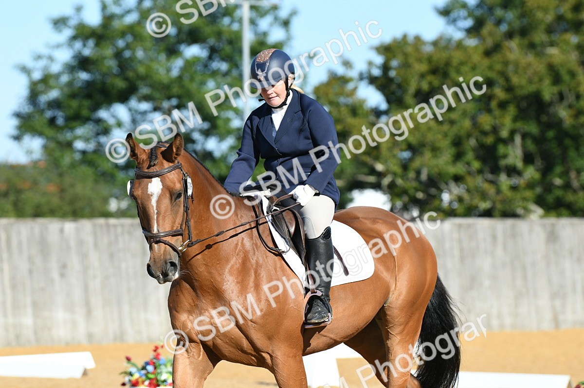 SBM_16214 - D4 - Small Tour Championship - Intro B