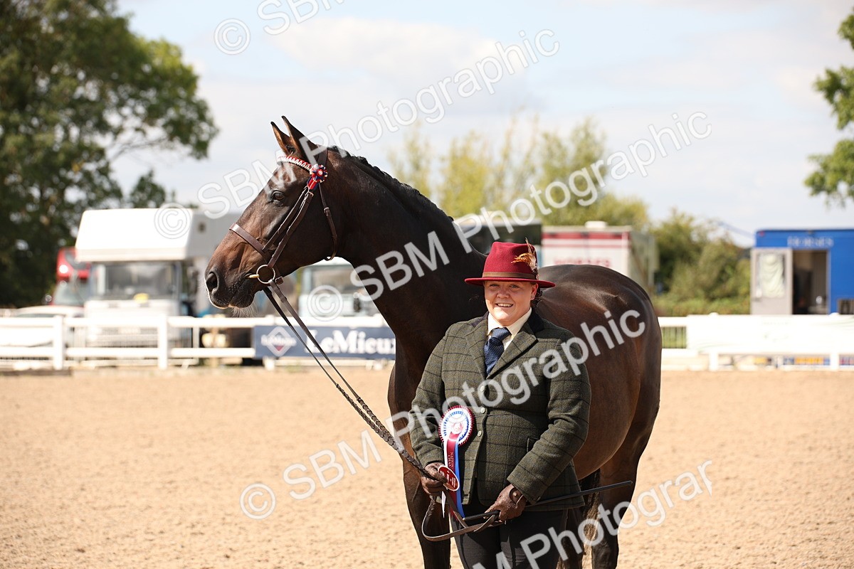 SBM_03793 - Class 19 Judge's Favourite