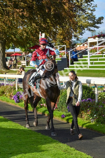 230923-Race 5-Vintage Clarets-6846 - Race 5 4.20pm Vickers.Bet Handicap