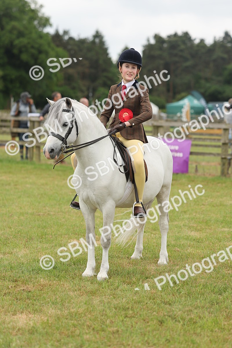 SBM_07139 - Class 76-77 - Ridden M&M Welsh Ponies
