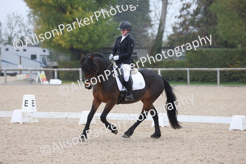 20251012-0531 - Class 4 - Novice 6