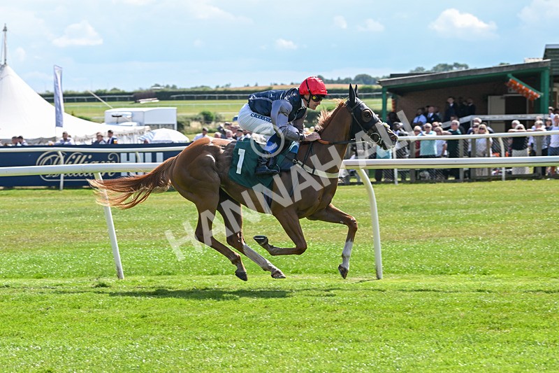 160725-Race 3-Miss Yechance-9017 - Race 3