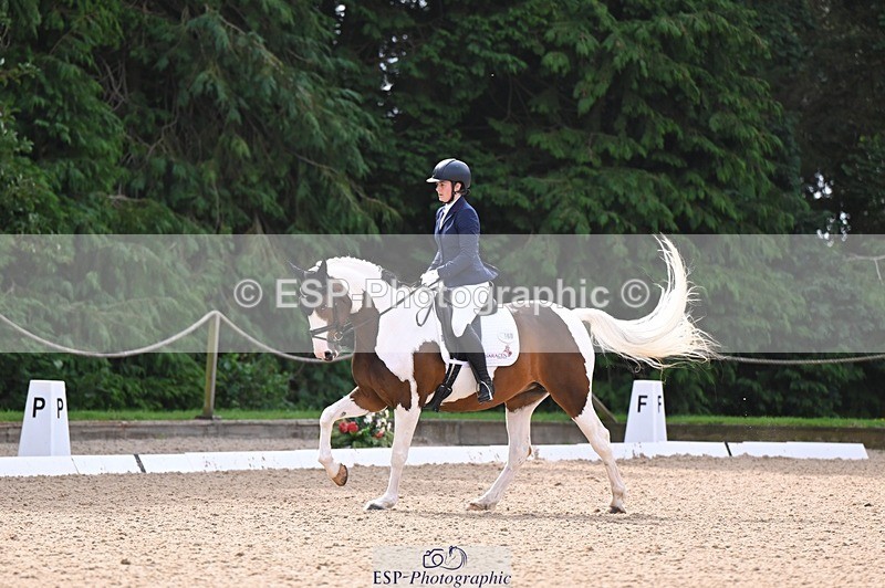 240809-103957-00361 - 160-Sian.Lowe-Pinecroft.Indigo