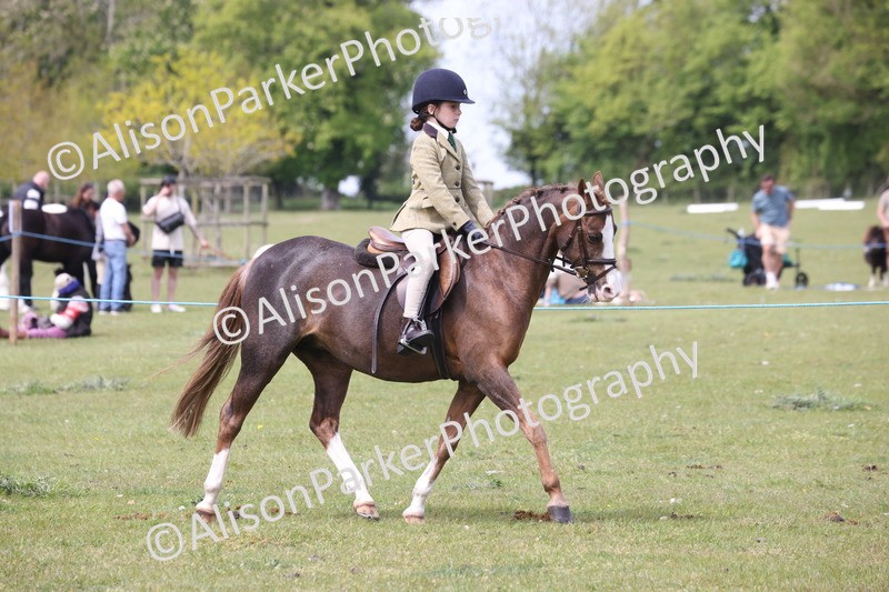 20260426-2935 - Class 33 - Best Pony 14.2hh and Under