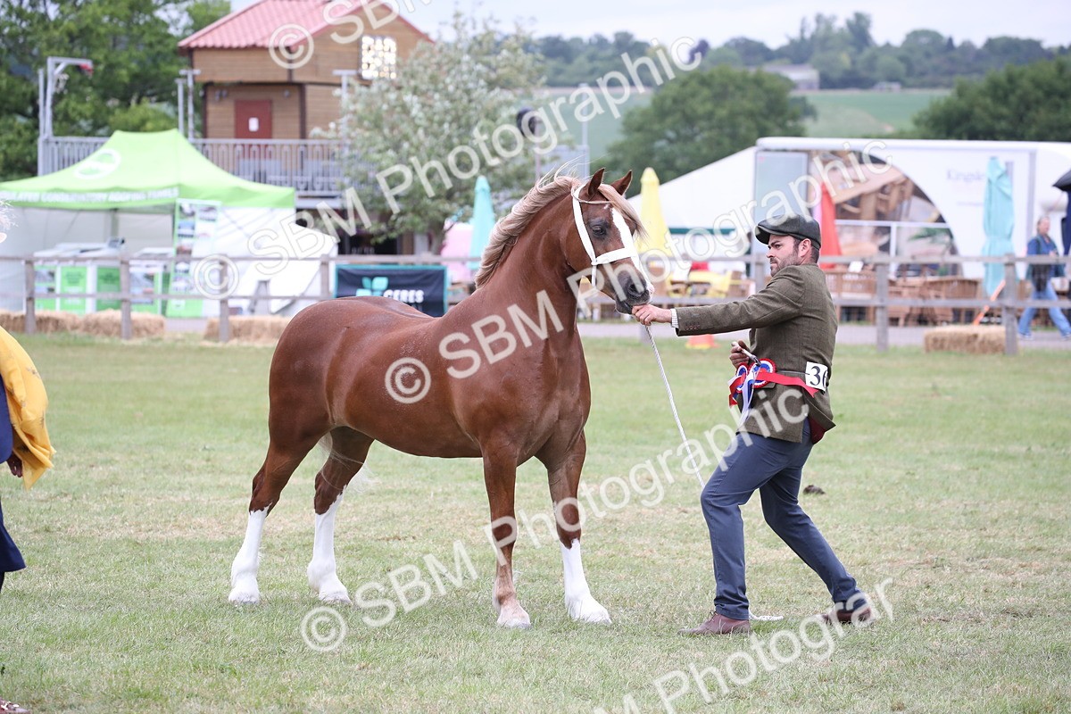 SBM_09875 - Ch 50 - Price Family Supreme In Hand