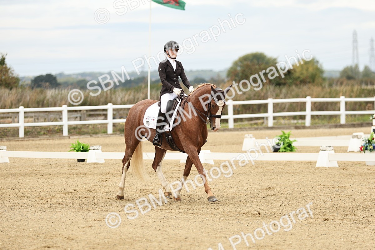 SBM_006526 - Class 21 - Medium 5 Bronze - 9.08-9.48