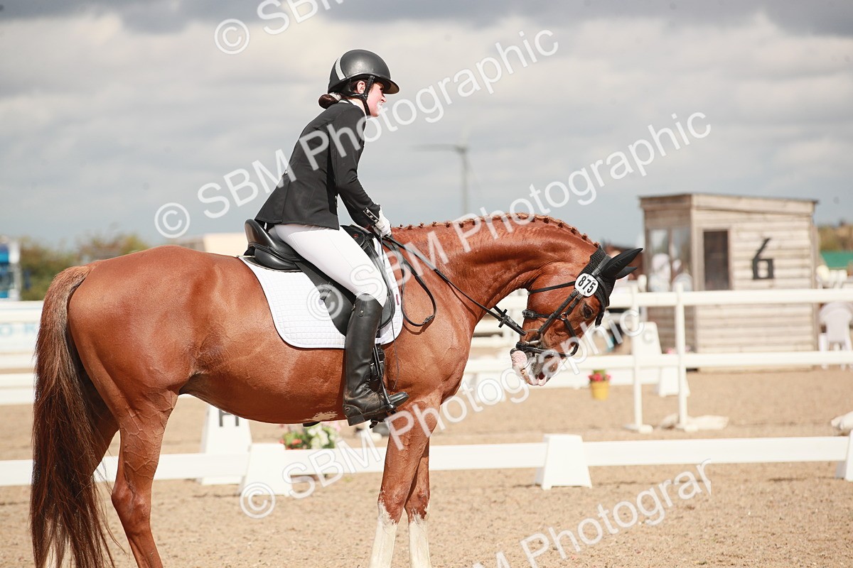 SBM_05980 - Class 32 - Novice 1