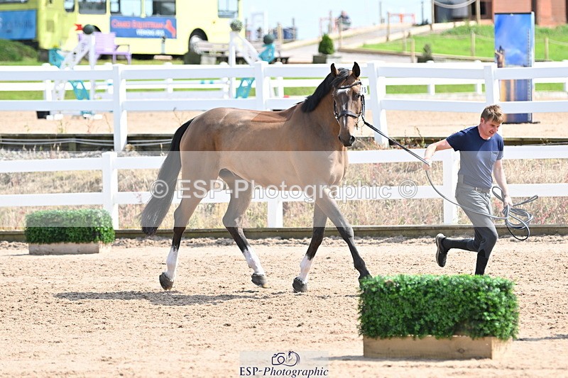 240717A-153533-02902 - Trot Up 3pm to 4pm