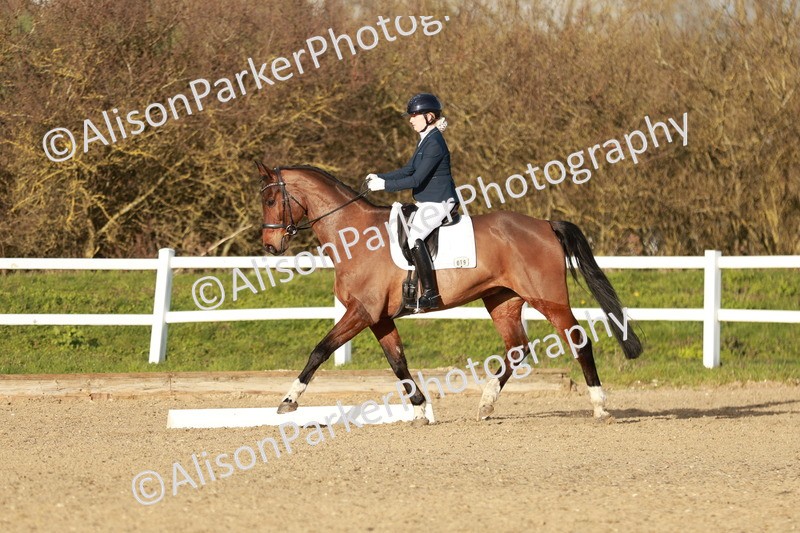 20260314-6298 - CT7 - Elementary 2