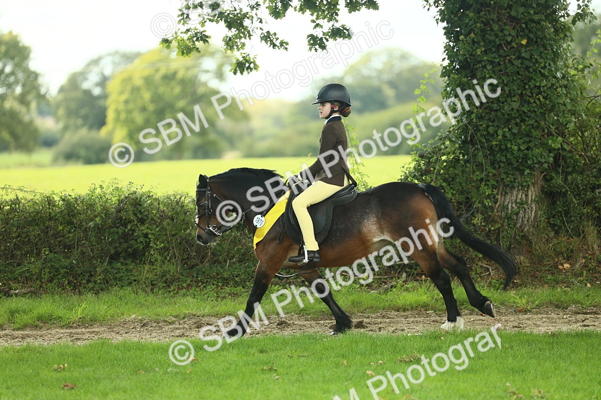 SBM_44946 - Working Hunter Pony Supreme Championship