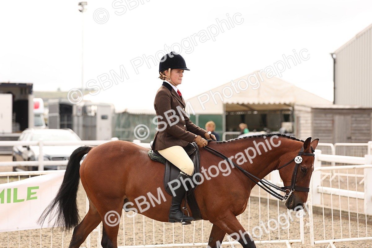 SBM_01619 - Class 52 - Ridden Veteran