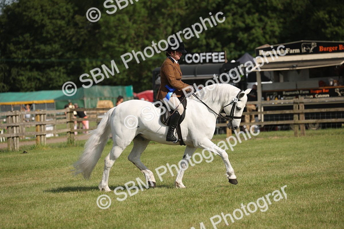 SBM_10233 - Class 33-38 - SSADL RIHS Qualifiers
