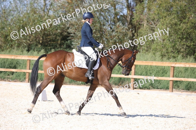 20260905-1483 - Class 5 - Novice 2
