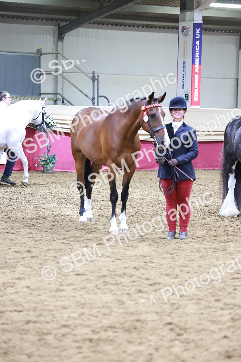 SBM_20131 - Class C - Novalty Champ