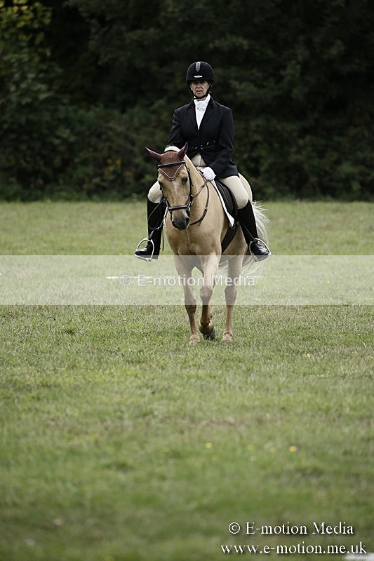BVR080918 293 - BVRC Novice Dressage & CR 08/09/18