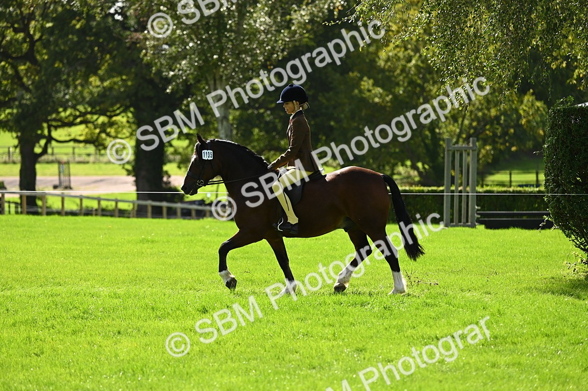 SBM_02766 - S3 - TSR Ridden Pony Showing