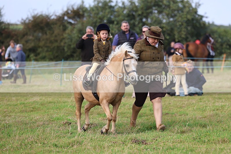 3E7A3575 - Class 2: Lead rein