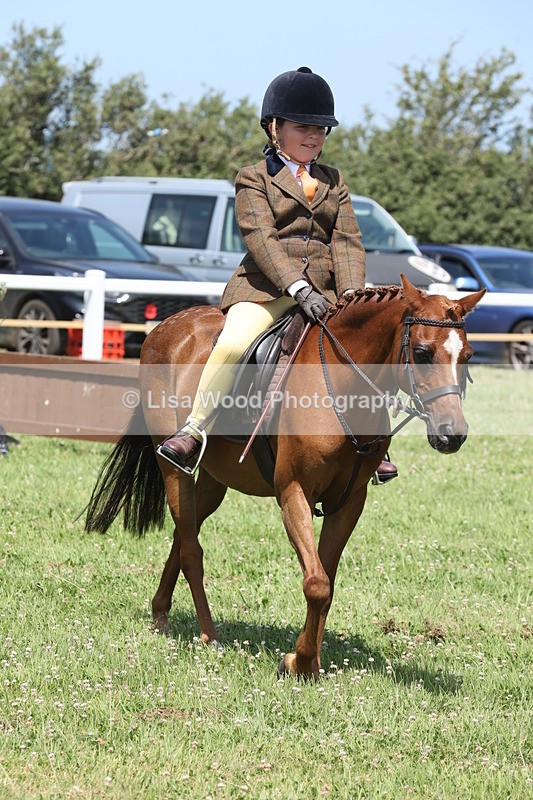 JPP_2366 - Class 20: Tiny Tots Working Hunter Pony