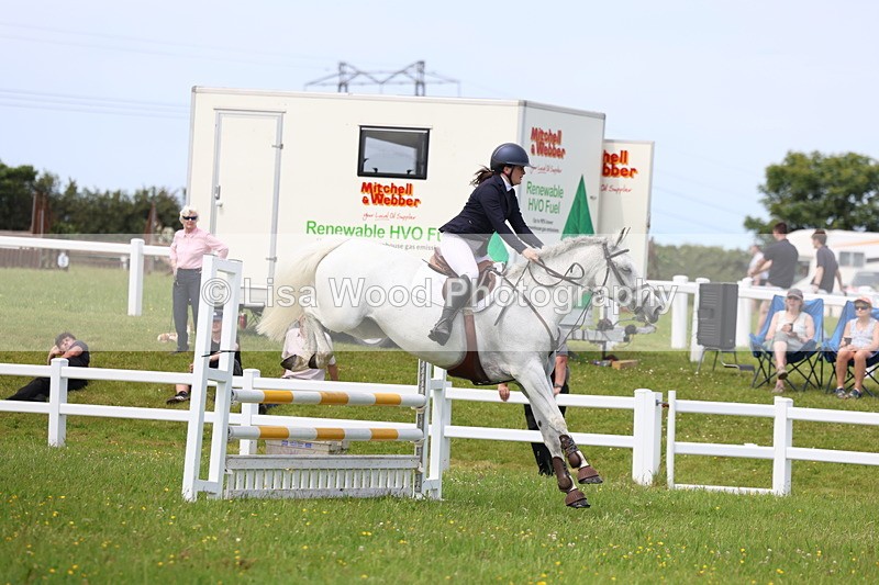 3E7A1541 - Class 13: Senior British Novice/90cm open