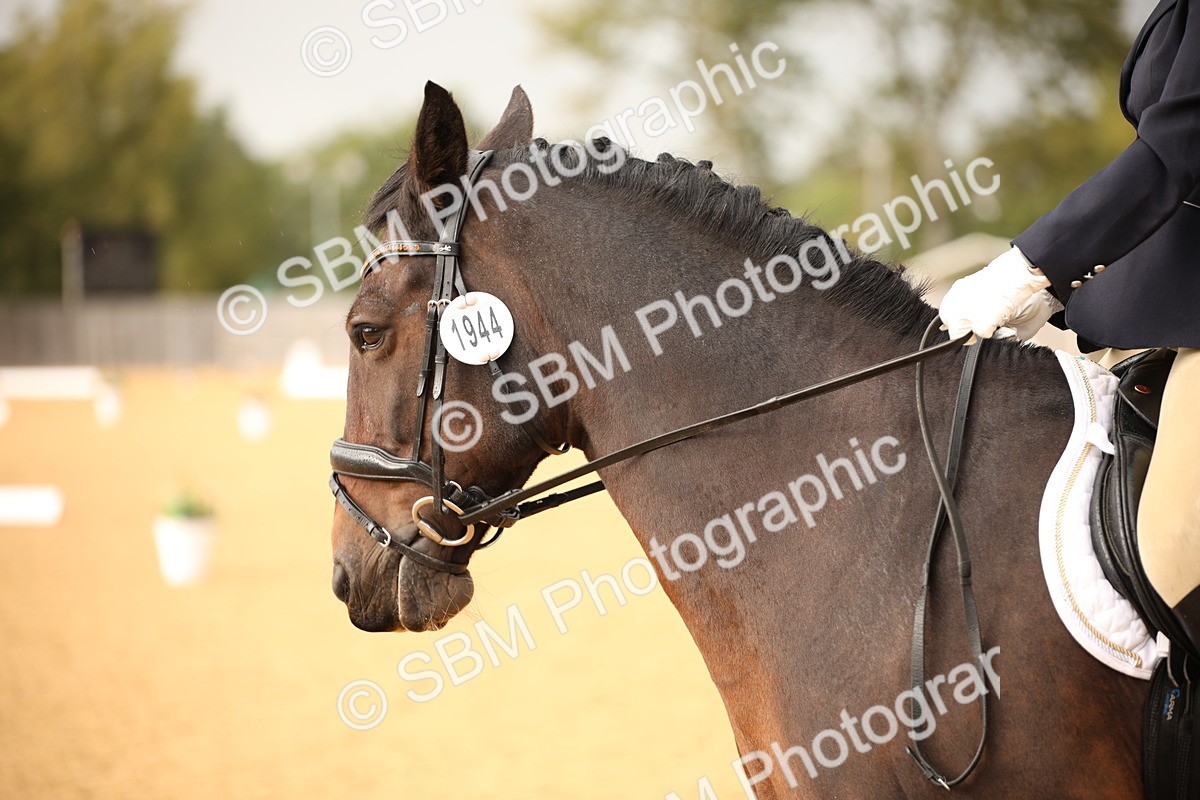 SBM_12344 - D3 Small  Tour Championship Intro A