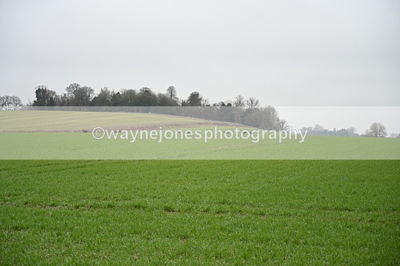 WJ7_9729 - Walk out..