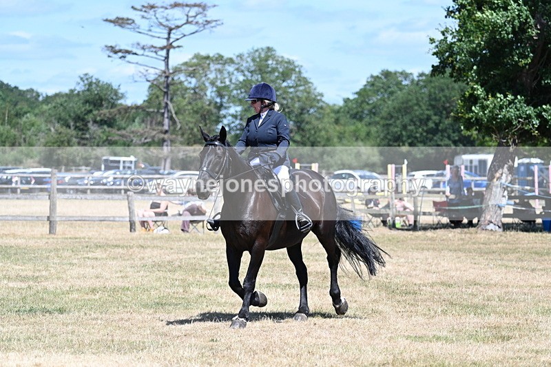 WJ7_2924 - Class 7 Riding Club Show Horse